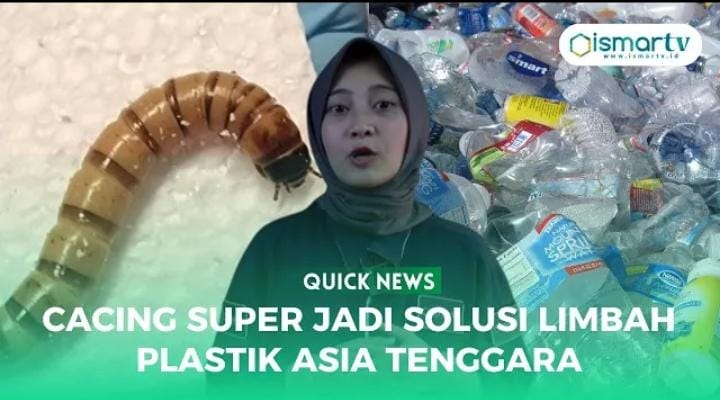 CACING SUPER JADI SOLUSI LIMBAH PLASTIK DI ASIA TENGGARA