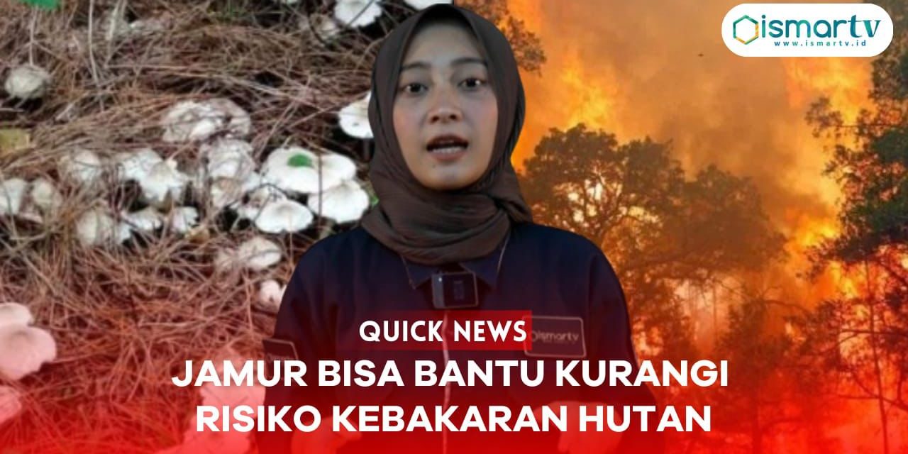 JAMUR BANTU KURANGI RISIKO KEBAKARAN HUTAN